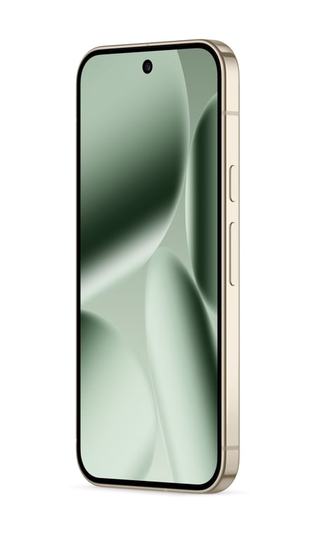 Pixel 10 Pro (5G) 256 Go, Jade - Neuf