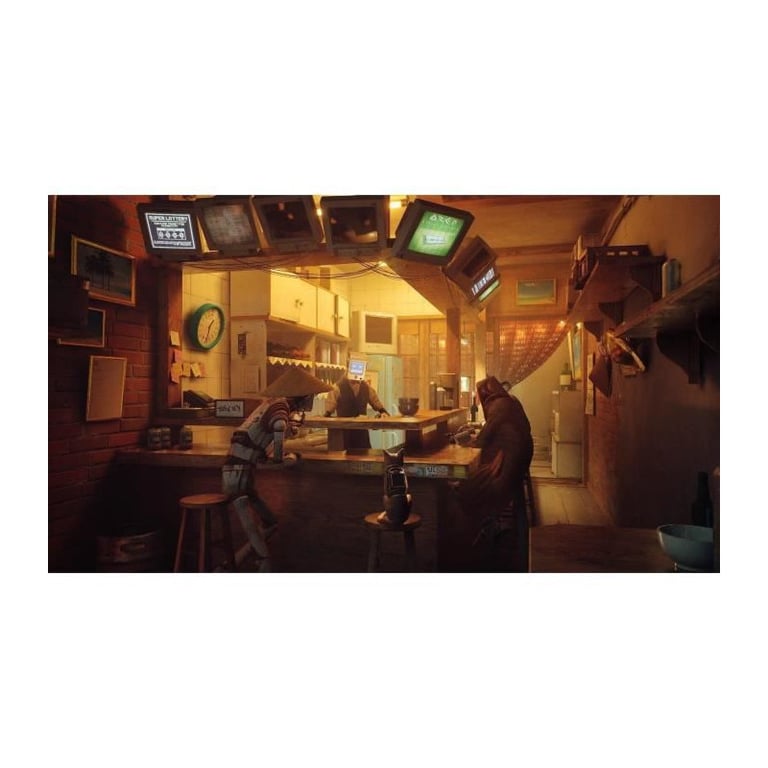 Stray Jeu PS4 - Neuf