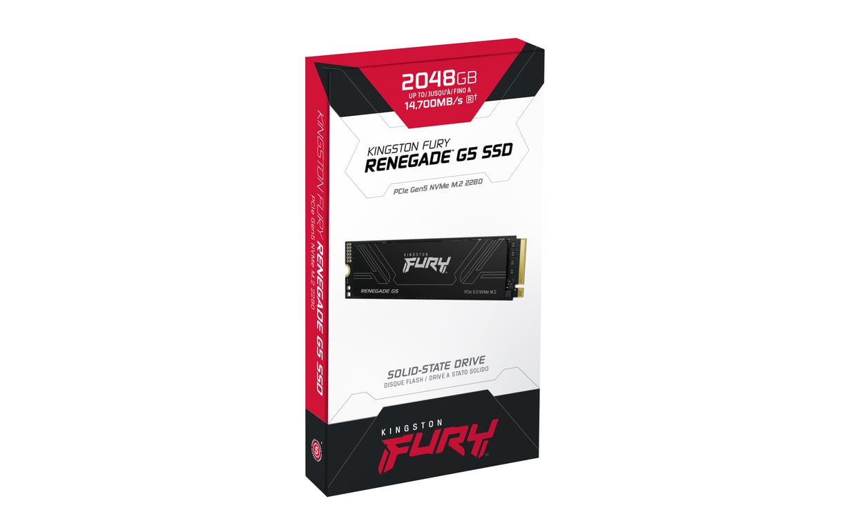 Kingston FURY Renegade G5 4 To - vue 10
