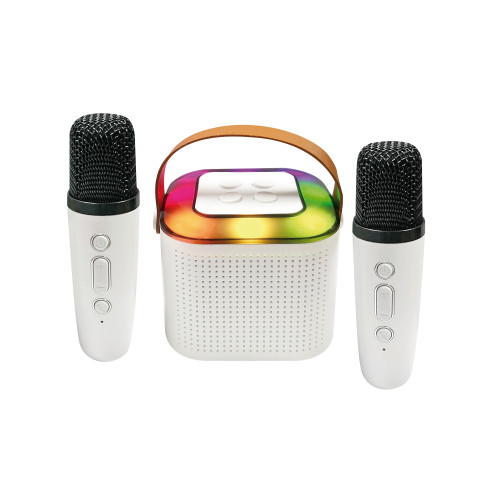 Mini enceinte Bluetooth KARAOKE 2 micros Neuf