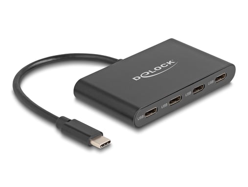 Delock Hub USB 3.2 Gen 2 USB Type-C con 4 x USB Type-C femmina - 10 Gbps