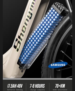 Vélo électrique S700 double moteur 2*1000 W, vitesse maximale 48 km/h, batterie SAMSUNG 48 V 17,5 Ah, pneus larges 26 x 3 pouces, vélo de montagne électrique pour hommes