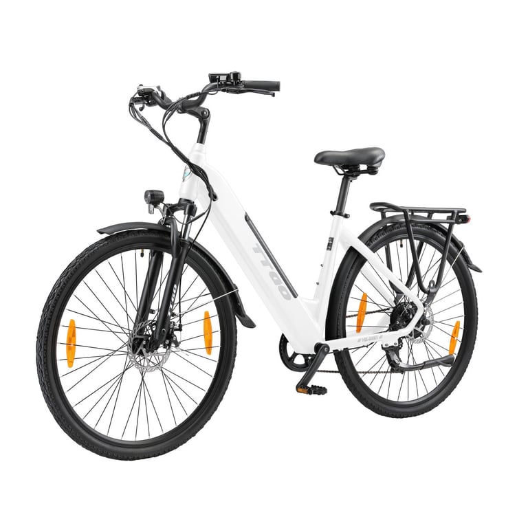 Vélo Électrique TTGO HZ-28ST – Moteur 250W, Batterie 36V20Ah, Cadre 28'' - vue 6