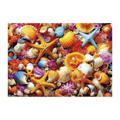 Puzzle - EDUCA - Collage de Coquillages - 1000 pezzi - 68x48 cm - a partire da 12 anni