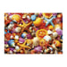 Puzzle - EDUCA - Collage de Coquillages - 1000 pezzi - 68x48 cm - a partire da 12 anni