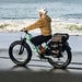 Bicicletta elettrica fuoristrada Cyrusher Aura – Motore da 52 V 250 W con coppia di 95 Nm, batteria da 780 Wh - blu