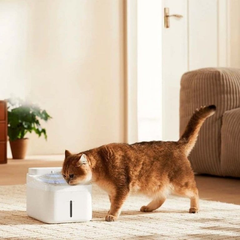 Xiaomi Smart Pet Fountain 2 gamelle et abreuvoir pour chiens et chats Plastique Chat Distributeur automatique pour animaux de compagnie Neuf - vue 2
