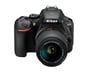 Nikon D5600 + AF-P DX 18-55mm VR + 8GB SD Juego de cámara SLR 24,2 MP CMOS 6000 x 4000 Pixeles Negro