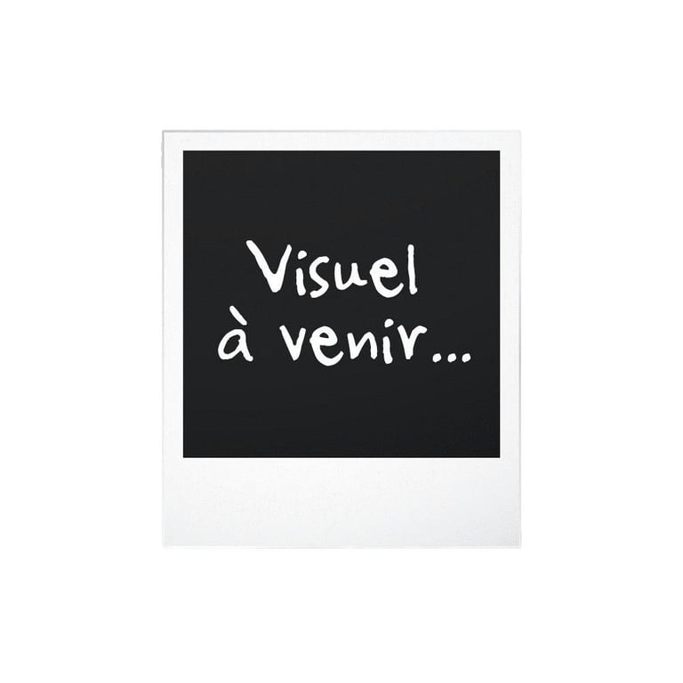 Bosch BBHF214R - vue 4