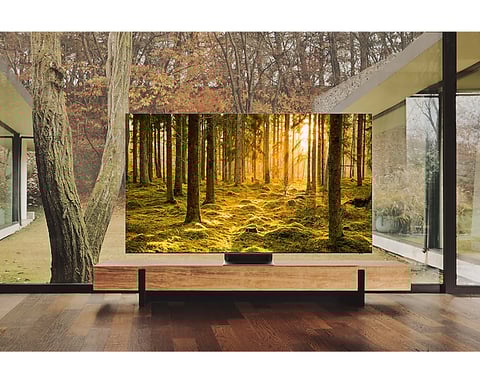 Samsung Series 9 85QN900B 2,16 m (85'') 8K Ultra HD Smart TV Wifi Acero inoxidable