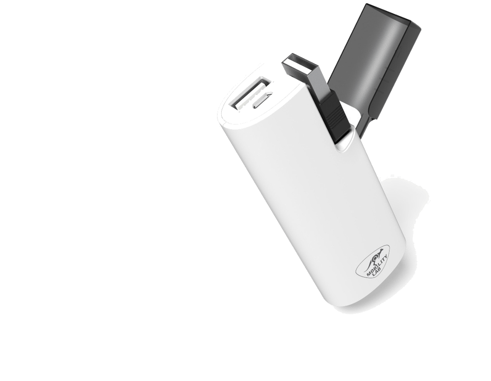 MOBILITY LAB - Batterie Externe 2400 Mah Power Bank Design Briquet