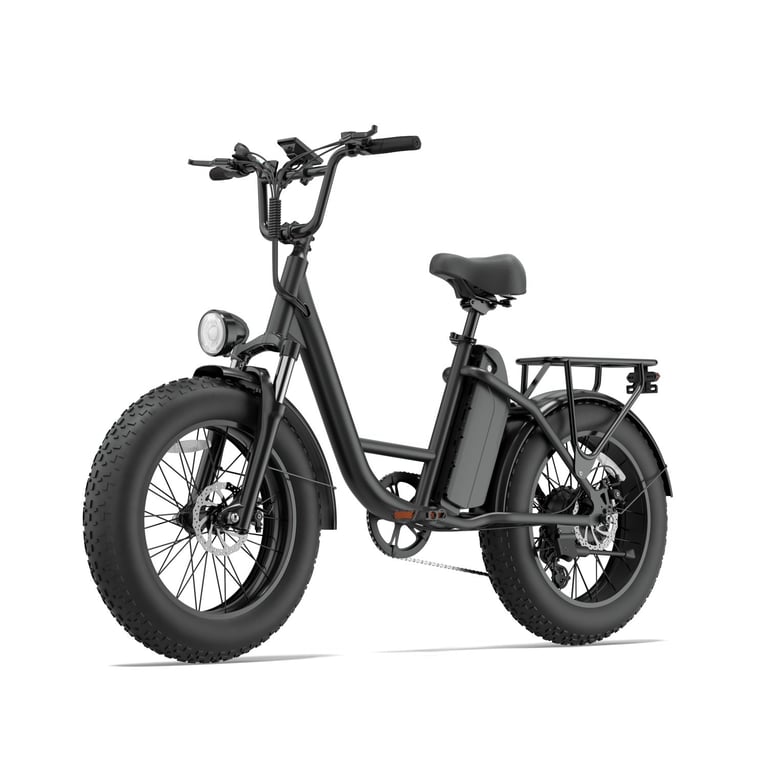 Vélo Électrique URLIFE E20 PRO 750W – Batterie Amovible 48V15.6Ah