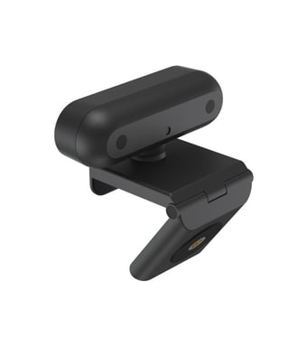 Webcam AVerMedia PW310P 1920 x 1080 píxeles USB Negra