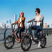 Bicicleta Eléctrica HillMiles MilePort 1 – Motor 250W Batería 36V13Ah Neumáticos De 20 Pulgadas Freno De Disco Mecánico - Negro