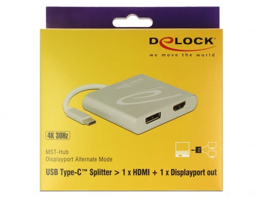 DeLOCK 87716 Adaptador gráfico USB 2560 x 1440 Pixeles Plata