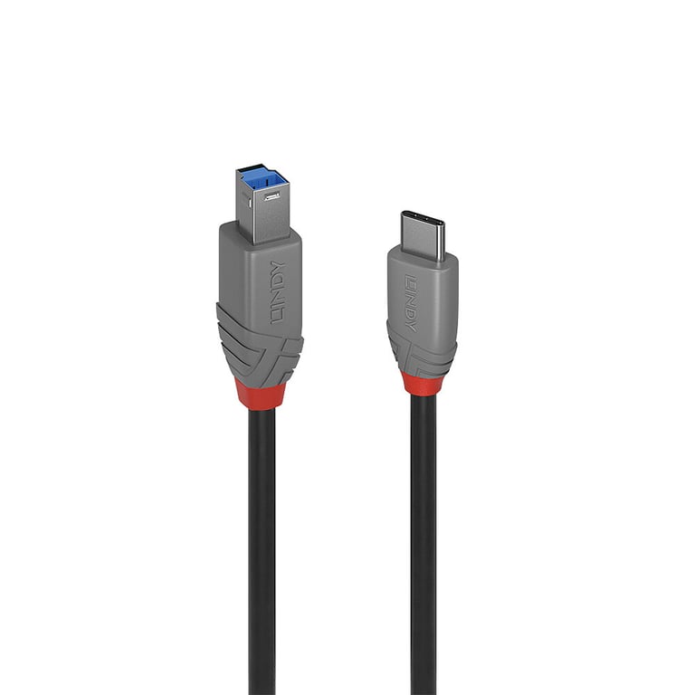 Lindy 36666 Câble Usb 1 M Usb 3.2 Gen 1 (3.1 Gen 1) Usb C Usb B