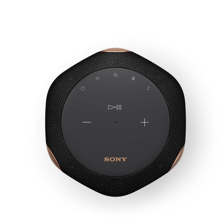 Sony SRS-RA3000 Enceinte portable stéréo Noir