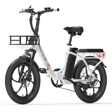 Cheevalry C20 Pro 250W Bicicletta elettrica pieghevole 20 pollici Fat Tire Mountain Ebike 48V20AH