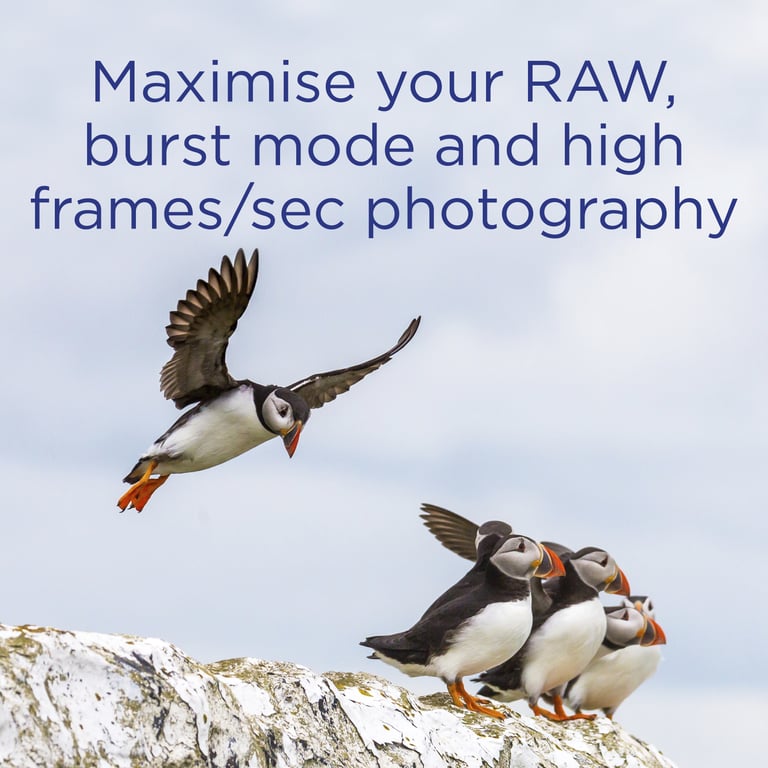 Integral UltimaPro Carte mémoire flash CompactFlash - vue 4