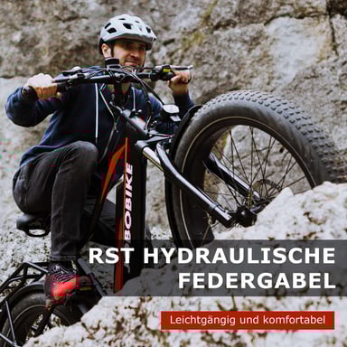 Bici Elettrica per Adulti JOBOBIKE Robin 26'' Motore Bafang 250W 48V13AH