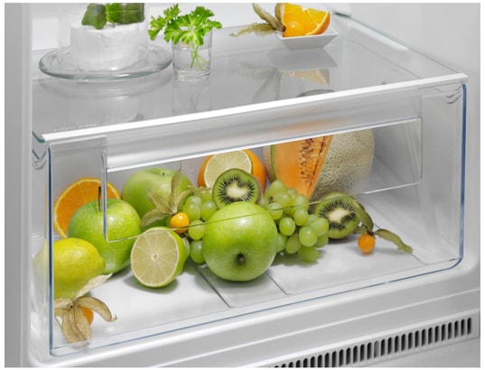 ELECTROLUX Réfrigérateur 2 portes intégrable 249 litres KTS5LE16S - vue 5