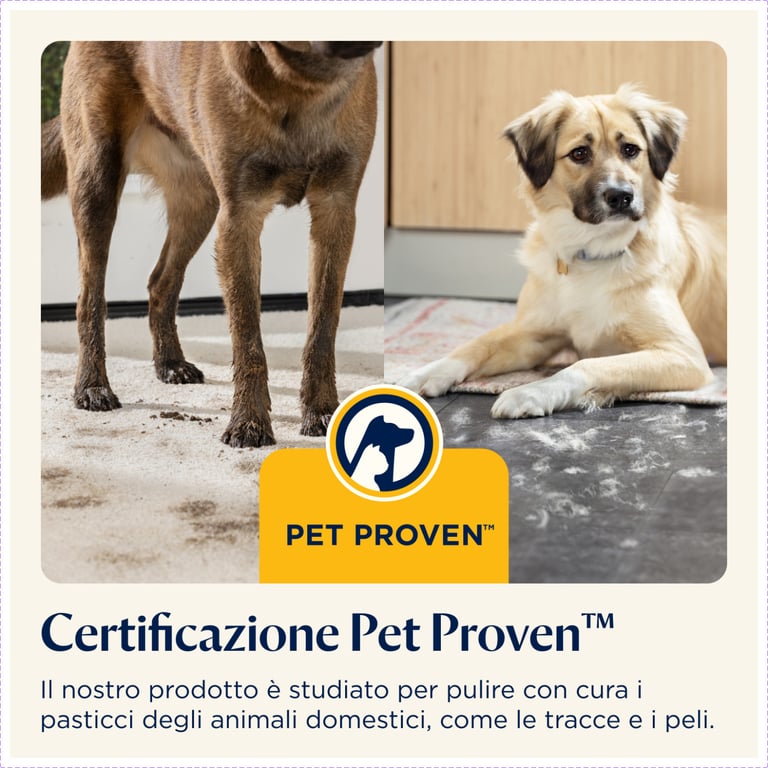 Bissell PowerClean Furfinder Select Batterie Sec HEPA Sans sac Neuf - vue 2