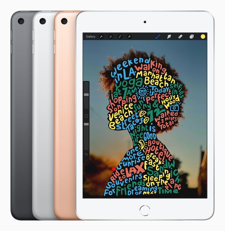 Apple iPad mini 4G LTE 20 1 cm 7.9 Wi Fi 5 802.11ac iOS 12 Bon état - vue 2