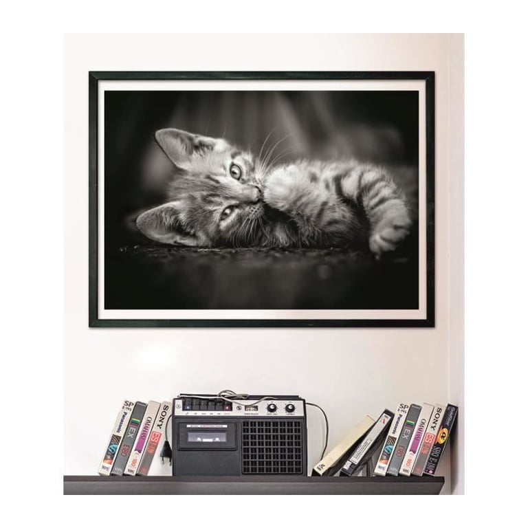 Puzzle Compact 1000 pièces : Chaton Clementoni Puzzles - vue 4