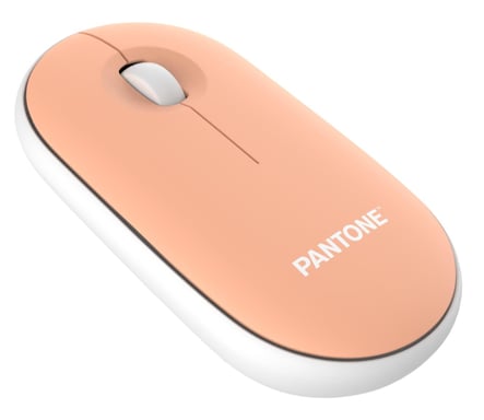 Pantone PT-MS001E ratón Hogar RF inalámbrico Laser 100 DPI