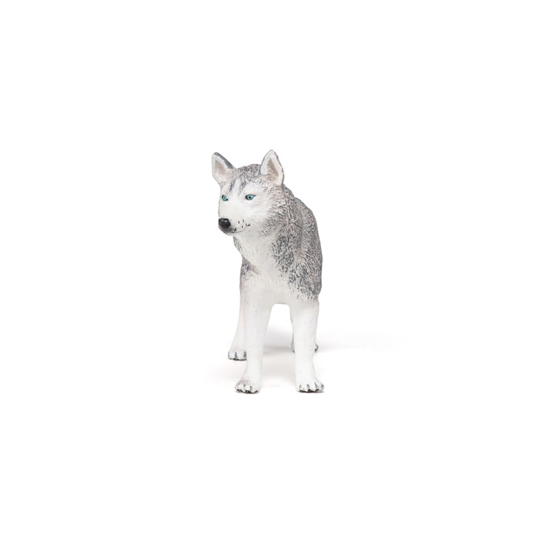 Papo Husky de Sibérie Neuf - vue 3