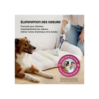 Aspiratore manuale Shark StainForce HX100EUT
