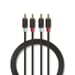 Nedis CABW24200AT10 cable de audio 1 m 2 x RCA Antracita