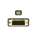 AISENS A125-0363 câble vidéo et adaptateur 2 m Mini DisplayPort DVI Noir