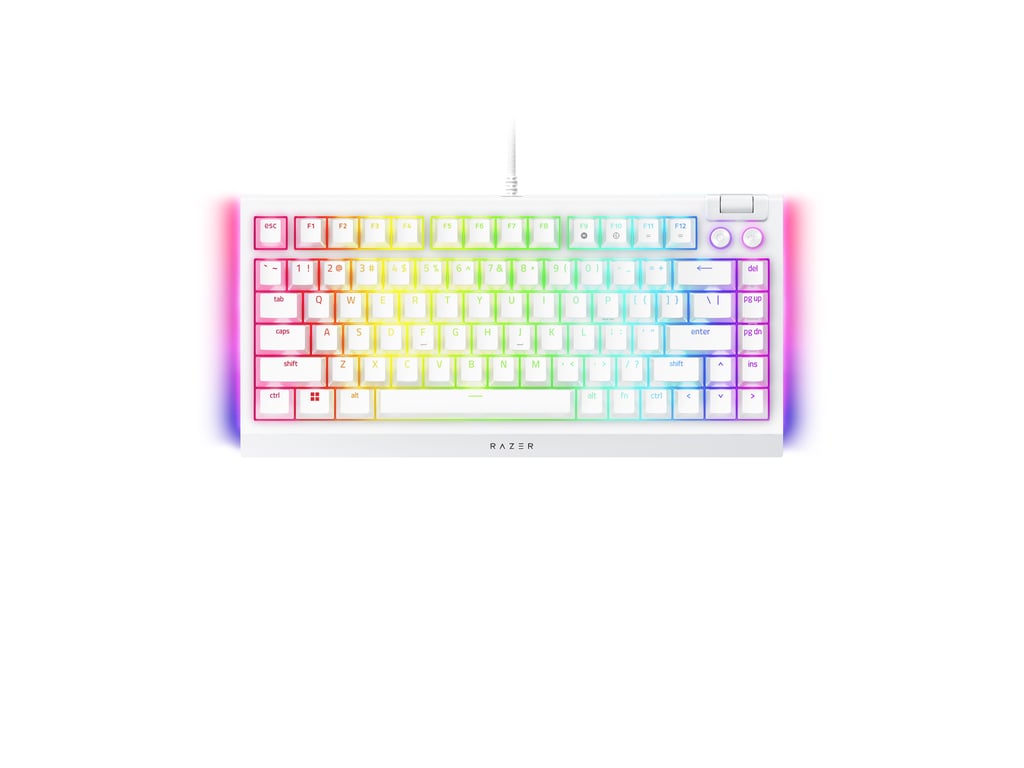 Razer BlackWidow V4 Pro clavier Jouer USB QWERTY US International Neuf - vue 2