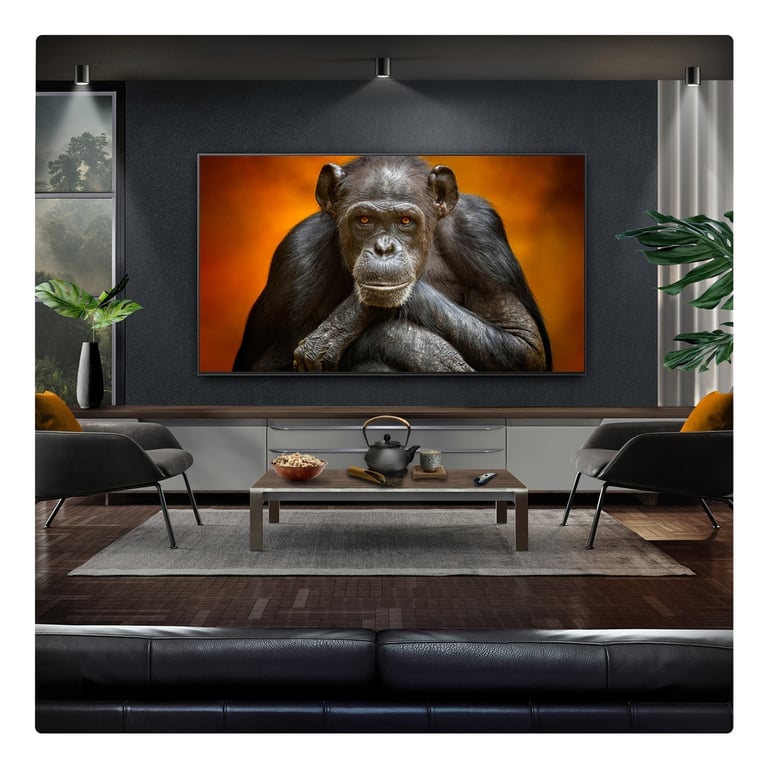 TV OLED OLED77G5 2025 - vue 4