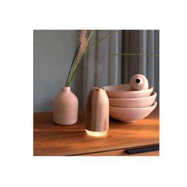 Humidificateur et diffuseur LIVOO DE122