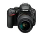 Nikon D5600 + AF-P DX 18-55mm G VR Kit d'appareil-photo SLR 24,2 MP CMOS 6000 x 4000 pixels Noir