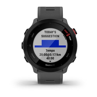 010-02562-13 Smartwatche Et Montre De Sport Mip 42 Mm Gris Gps (Satellite)