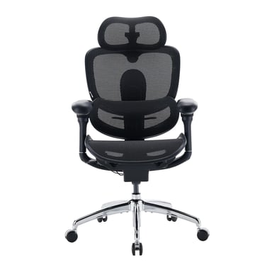SIHOO Doro C300 Pro V2 Fauteuil de bureau ergonomique sans repose-pieds, soutien adaptatif pour tout le corps(noir)
