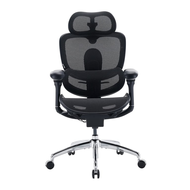 SIHOO Doro C300 Pro V2 Fauteuil de bureau ergonomique sans repose pieds soutien adaptatif pour tout le corps Neuf