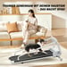 Tapis roulant pour animaux, vitesse réglable, idéal pour les chiens de petite et moyenne taille