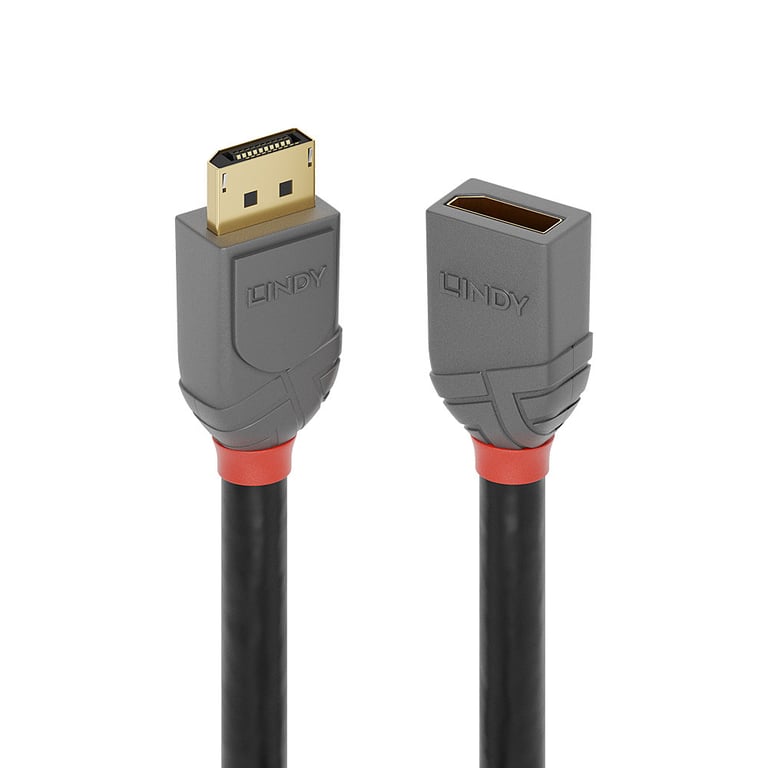 Lindy Rallonge DisplayPort 1.4 Anthra Line, 1m