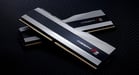 G.Skill F5-8000J4048F24GX2-TZ5RS módulo de memoria 48 GB 2 x 24 GB DDR5