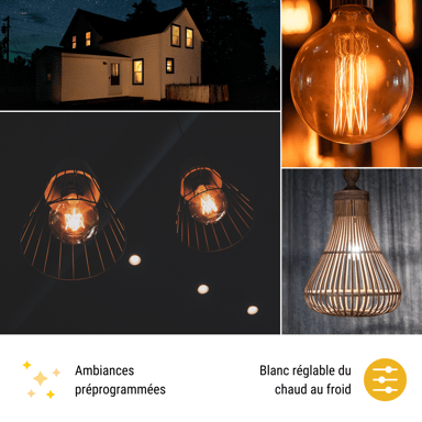 Lampadina collegata vintage Konyks Antalya Style G80-E27 - LED Wi-Fi + BT E27