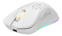 DELTACO GAMING - WHITE LINE WM80 - Mouse ottico da gioco senza fili 4800 DPI, 1000 Hz, ultra leggero, RGB, 7 pulsanti