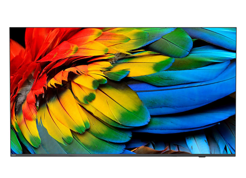 Philips 75HFL6214U Classe de diagonale 75 Professional MediaSuite TV LCD rétro éclairée par LED soins de santéhôtel Smart TV Android TV 4K UHD 3840 x 2160 - vue 2