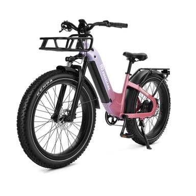 Bicicletta elettrica FREEDARE Eden per adulti con cestino anteriore e controllo GPS tramite app, batteria 48V 20Ah, sensore di coppia