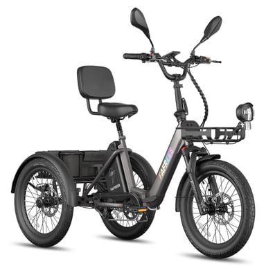Tricycle électrique FAFREES F20 Mate II, batterie 48 V 21 Ah, freins à disque hydrauliques, paniers avant et arrière - noir