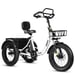 Tricycle cargo électrique ESKUTE T302 Pro, batterie 48 V 20,8 Ah, avec dossier de siège arrière et paniers avant/arrière - blanc