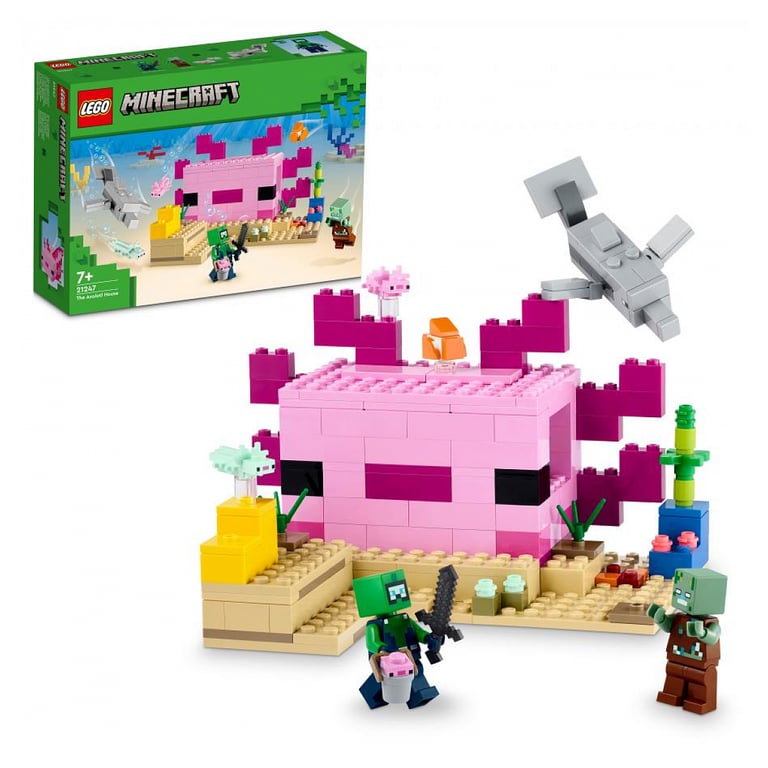 LEGO Minecraft 21247 - vue 3
